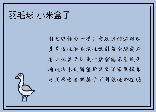 羽毛球 小米盒子