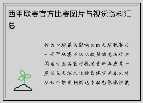 西甲联赛官方比赛图片与视觉资料汇总
